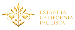 Design sem nome (2)